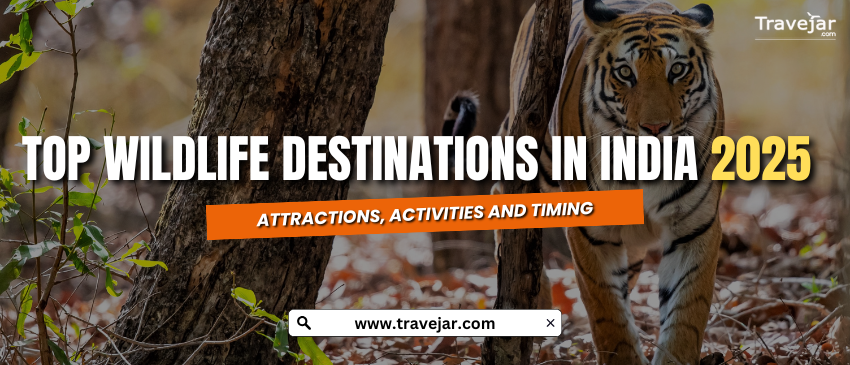 Top Wildlife Destinations In India 2025