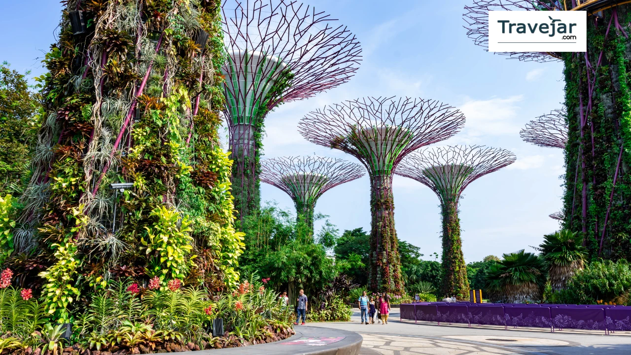 Your Complete Travel Guide to Singapore in August 2025